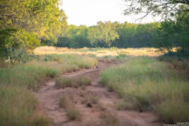 a view of lake with green space