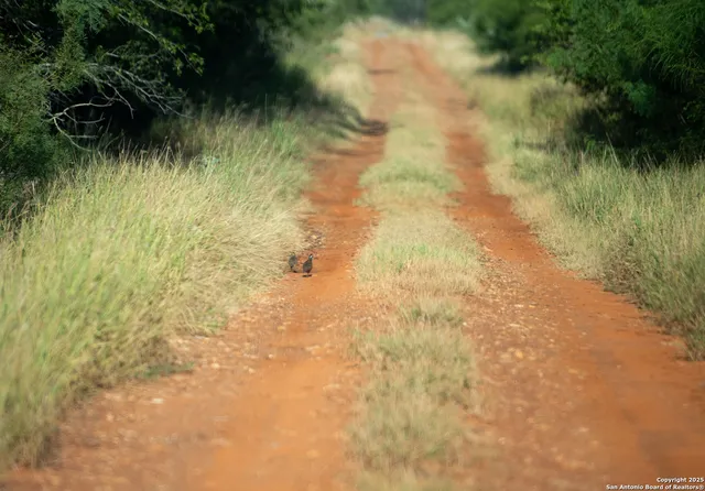 a view of an outdoor space and a mountain view