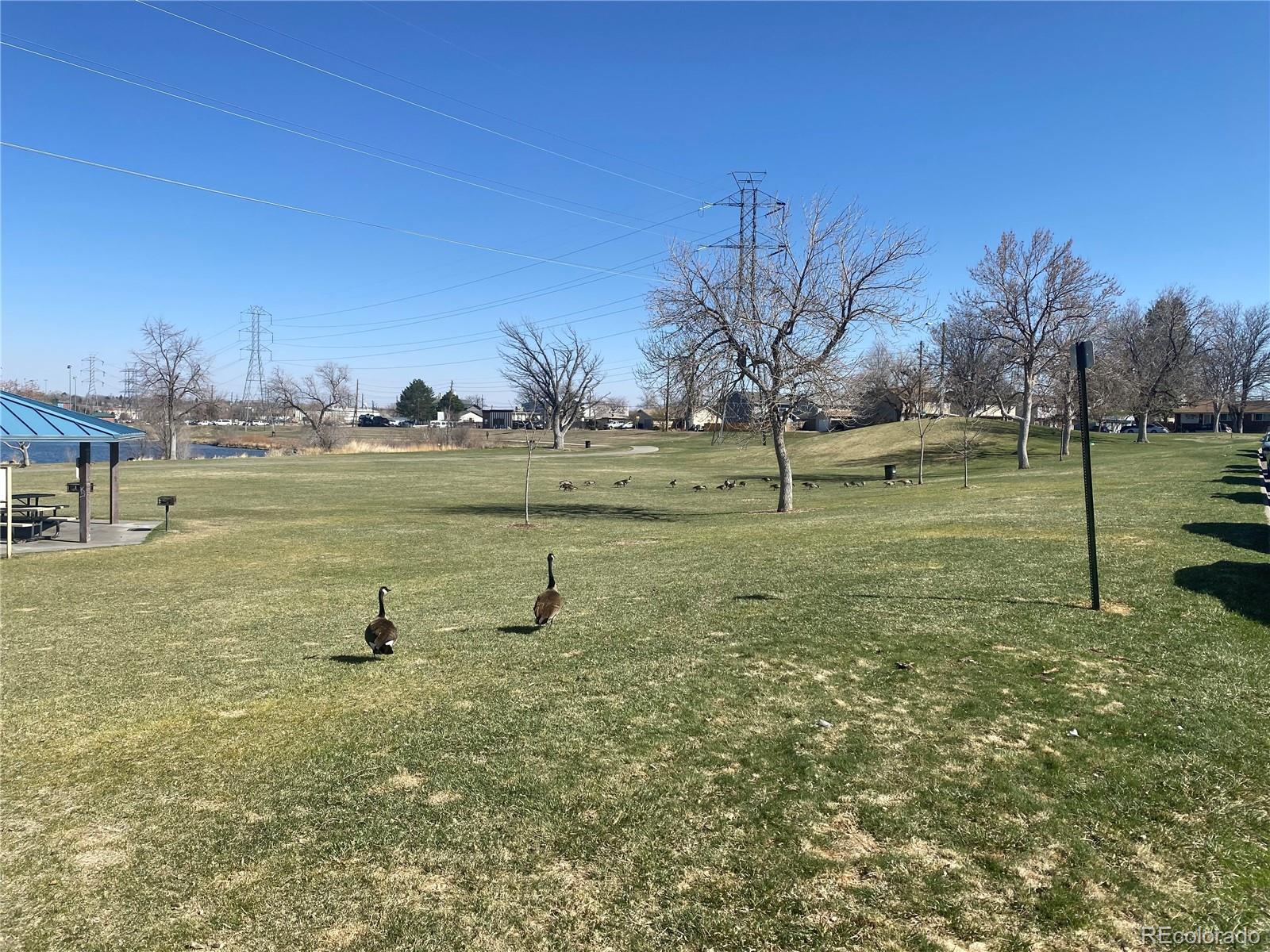 4671 South Decatur Street, Unit 232 Englewood, CO 80110 - Photo 29 of 32 a view of a lake with a big yard