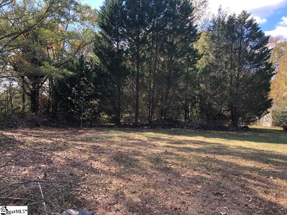 330 Davis Road Pelzer, SC 29669 - Photo 3 of 9