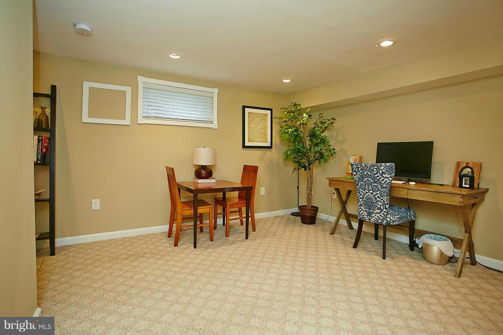 1110 Portner Road Alexandria, VA 22314 - Photo 21 of 30 Basement