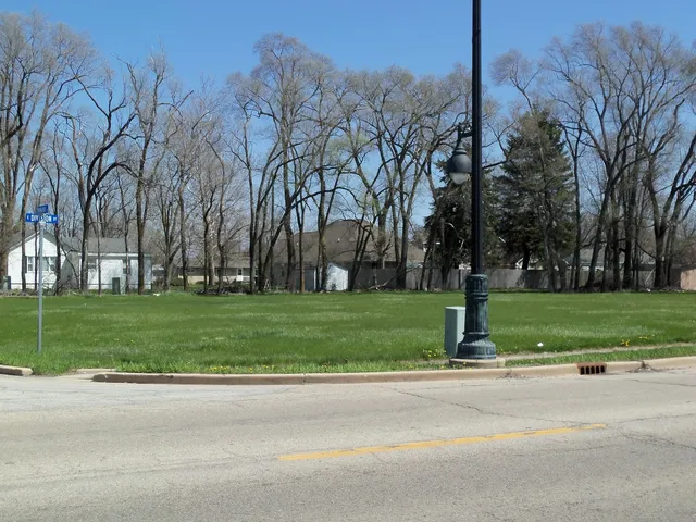 a view of a park with tree s