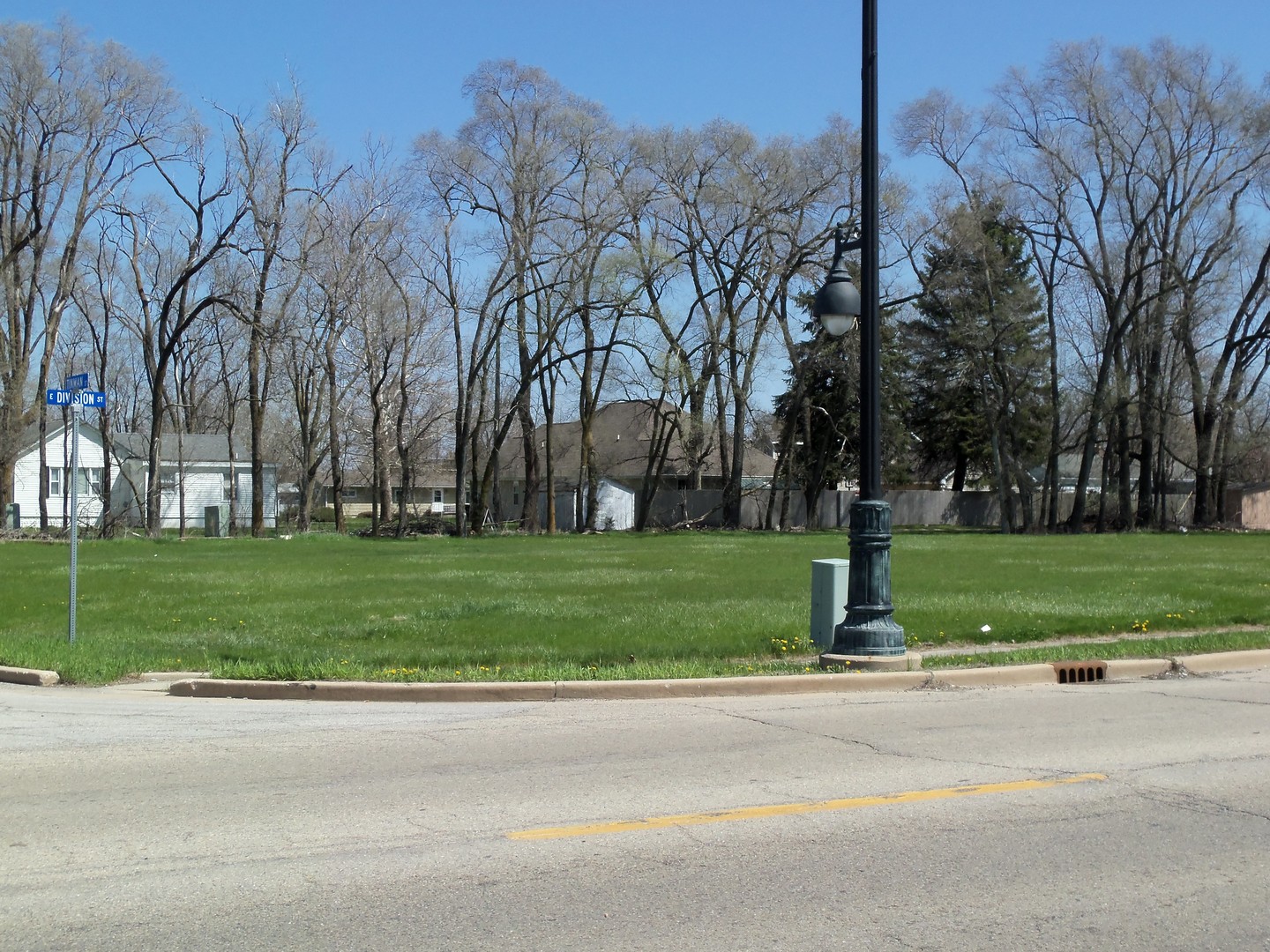a view of a park with tree s