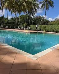 a park view with palm trees