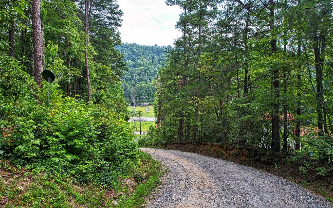 Lot 2 Raleigh Ridge Drive Blue Ridge, GA 30513 - Photo 1 of 4 Main View