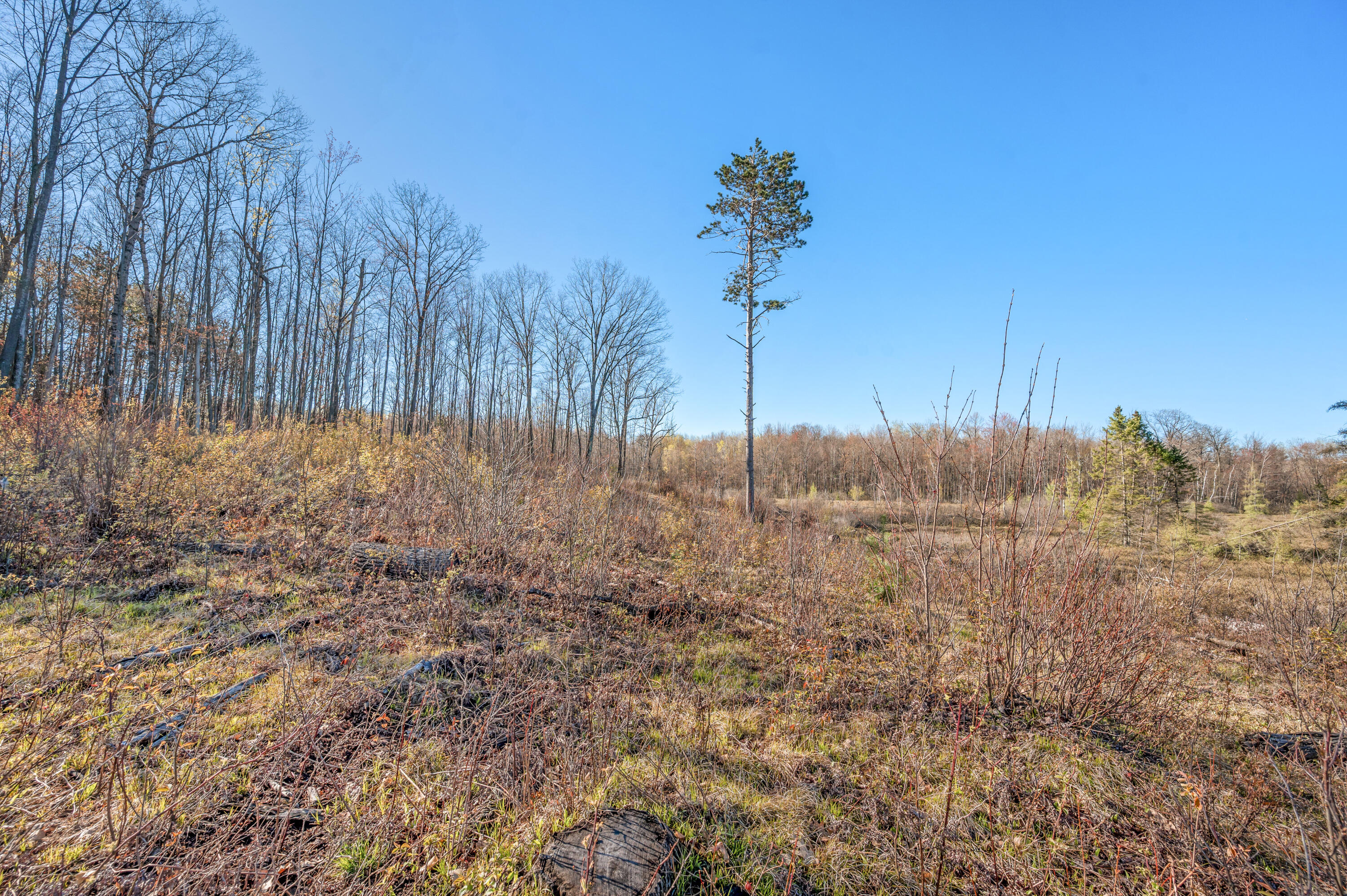 16107 12 Mile Road Leroy, MI 49655 - Photo 25 of 40 16107-12MileRd-Leroy-12