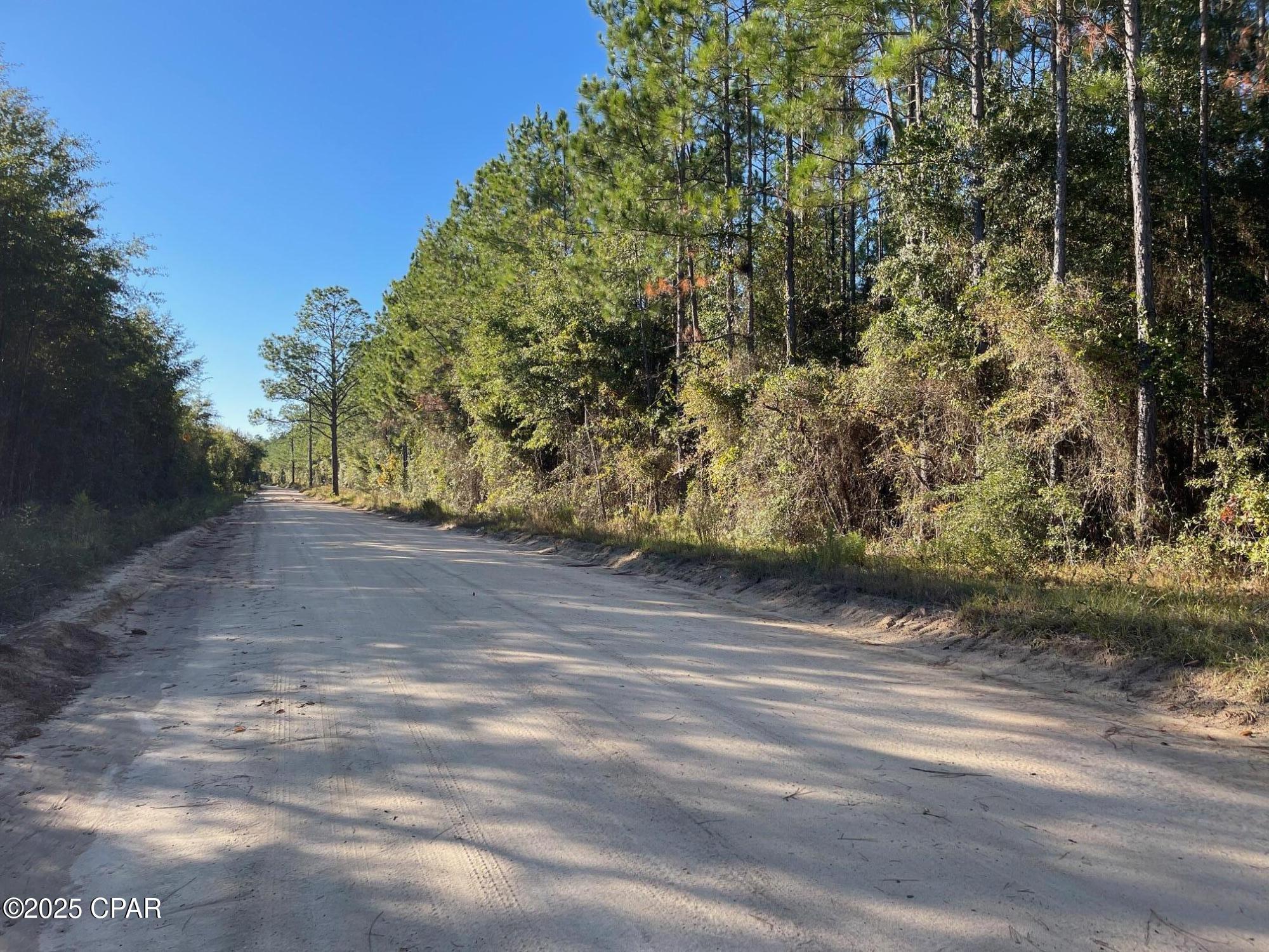 0 Blocker Road Marianna, FL 32446 - Photo 3 of 3