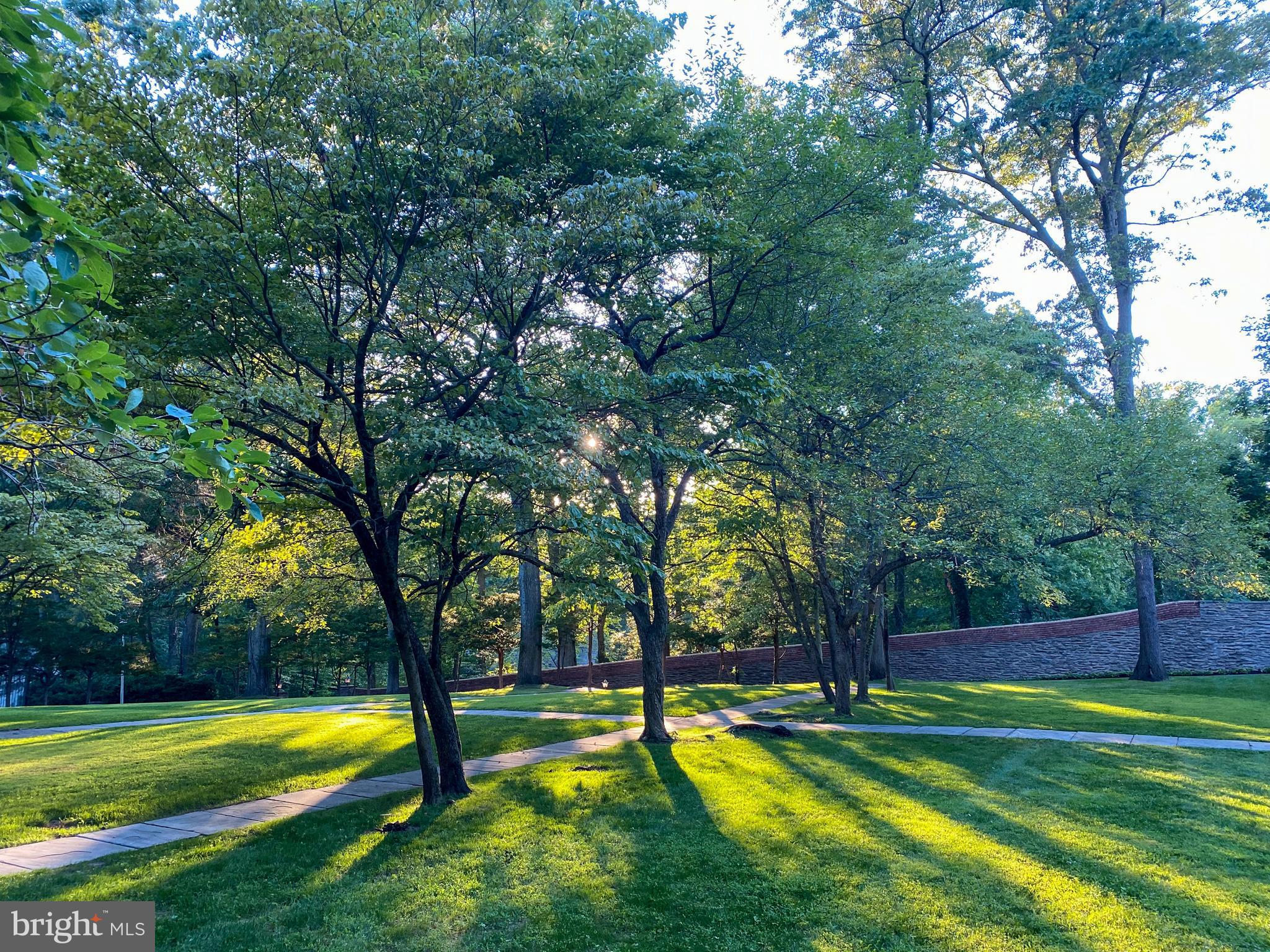 6935 Scotforth Road Philadelphia, PA 19119 - Photo 54 of 59