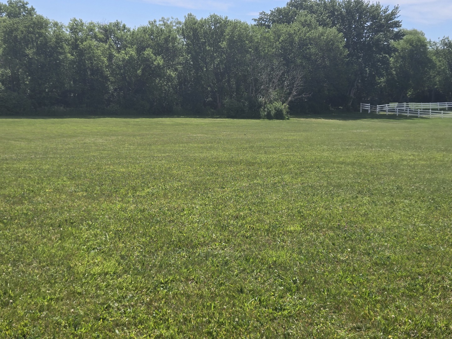 17823 Haas Road Mokena, IL 60448 - Photo 8 of 8