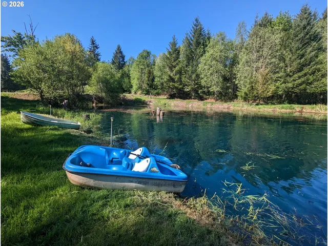 a view of a lake in a forest