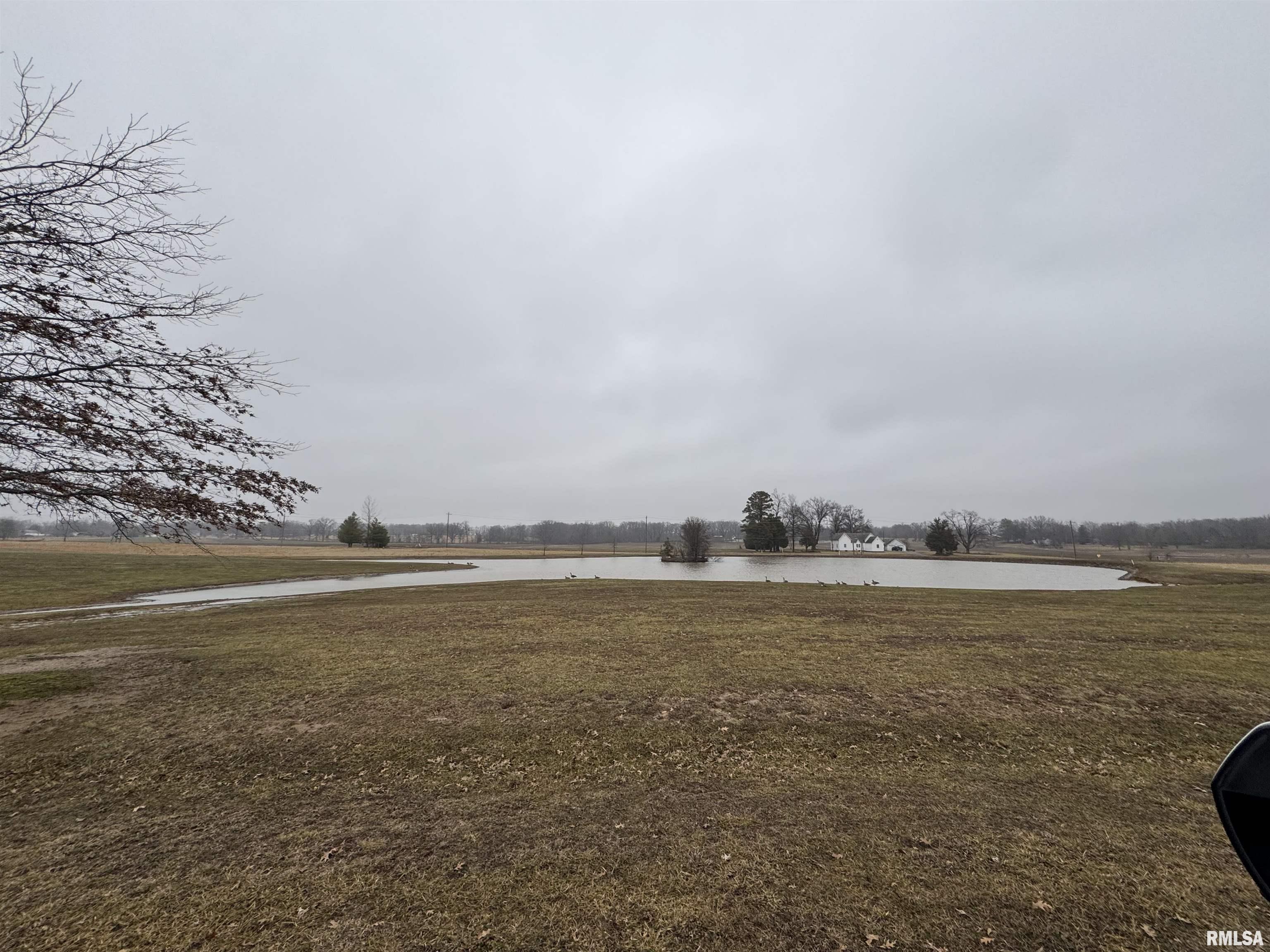Lot 7 Dove Lane Eldorado, IL 62930 - Photo 2 of 4