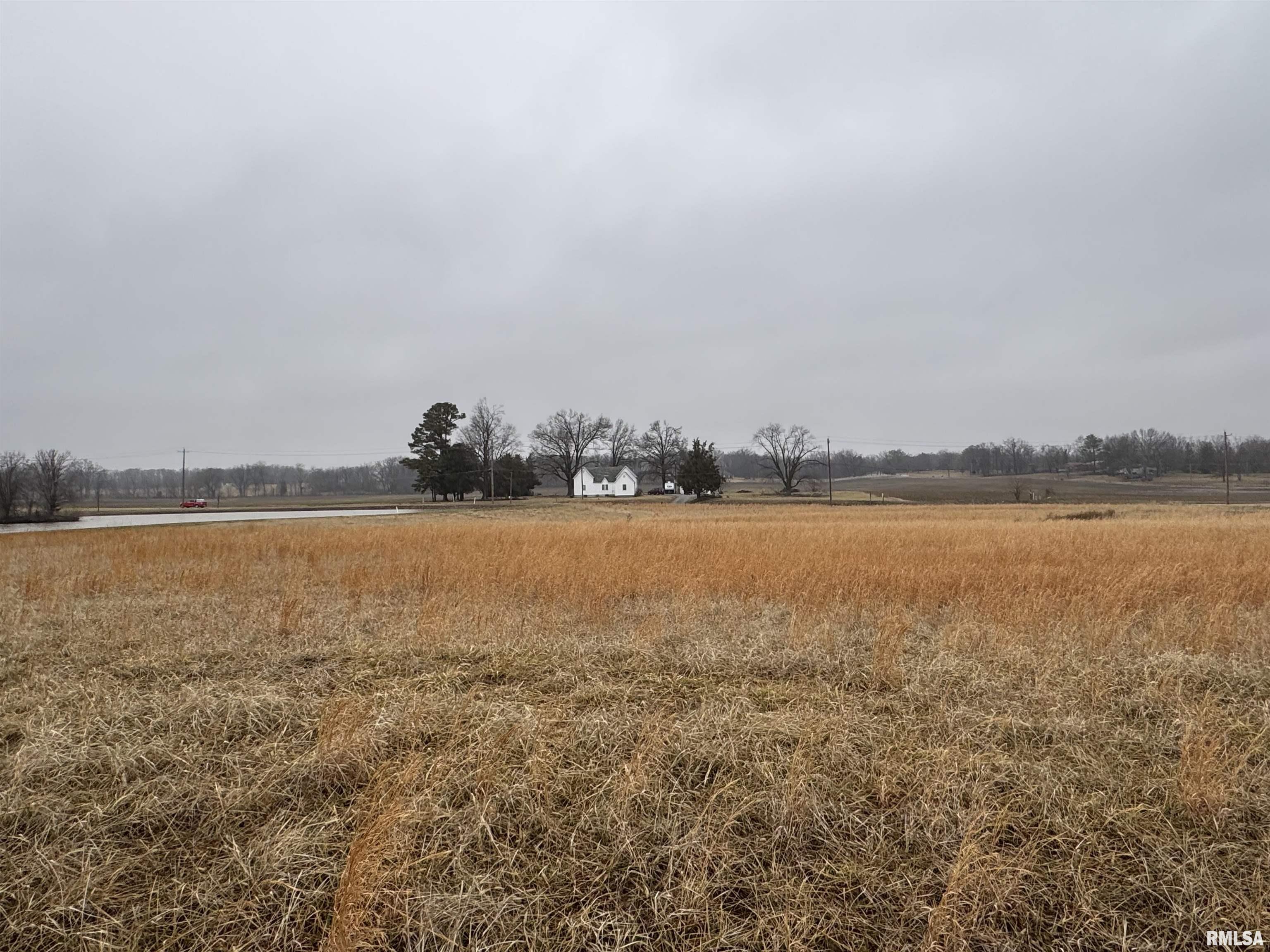 Lot 7 Dove Lane Eldorado, IL 62930 - Photo 4 of 4