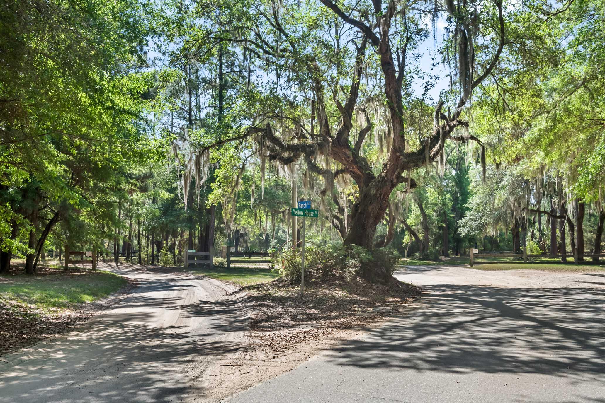 6195 Ranch Road Wadmalaw Island, SC 29487 - Photo 40 of 40 HFL_6195 RANCH RD-65