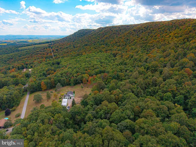 a view of backyard with seating area and green space