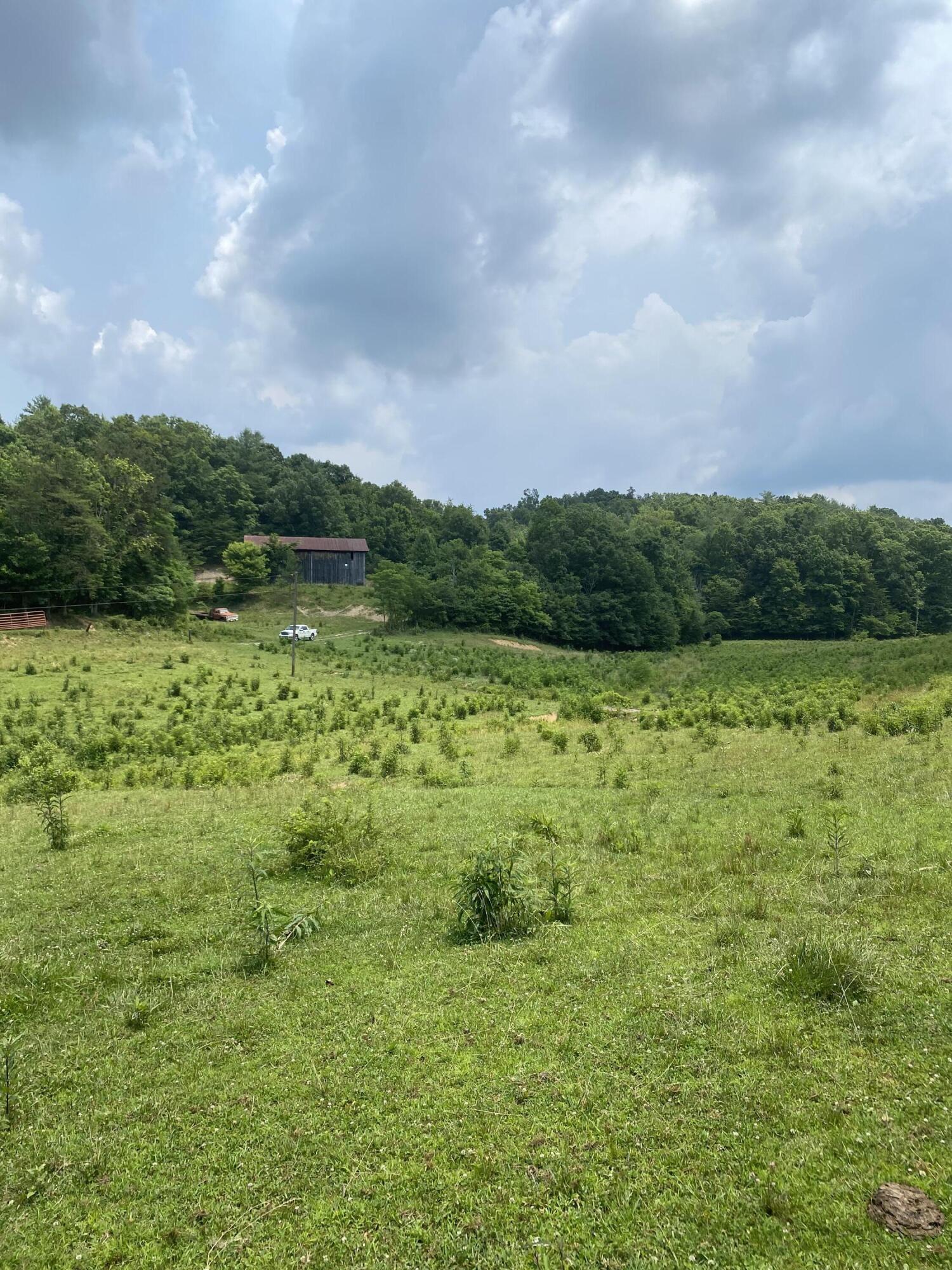 9999 Jim Brown Road Campton, KY 41301 - Photo 27 of 28 IMG_4799