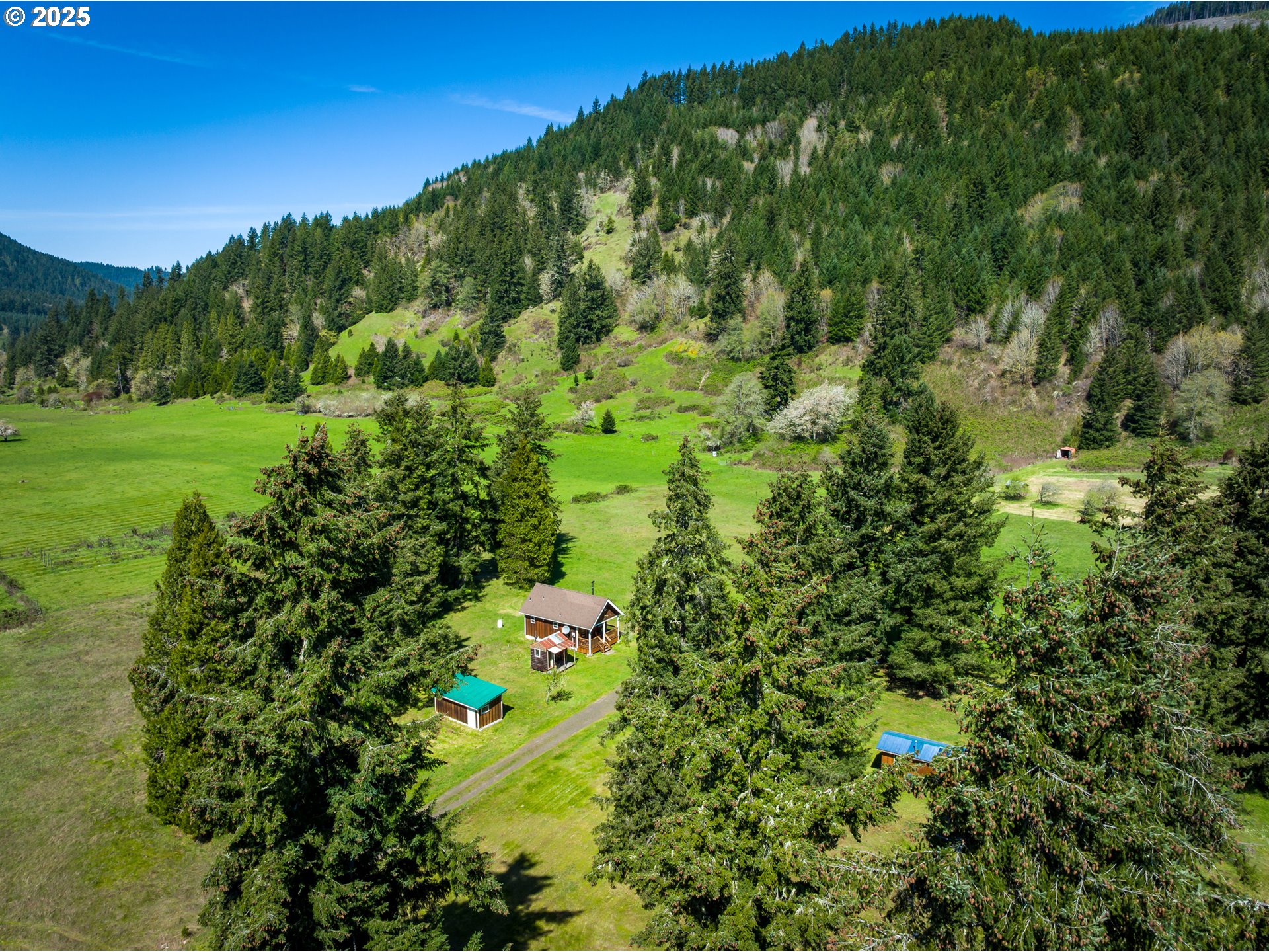 a view of a forest with a houses