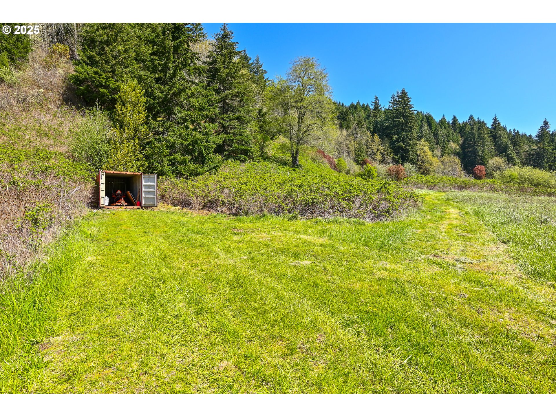 38305 Lower Brice Creek Road Dorena, OR 97434 - Photo 26 of 40 a view of a garden with a building