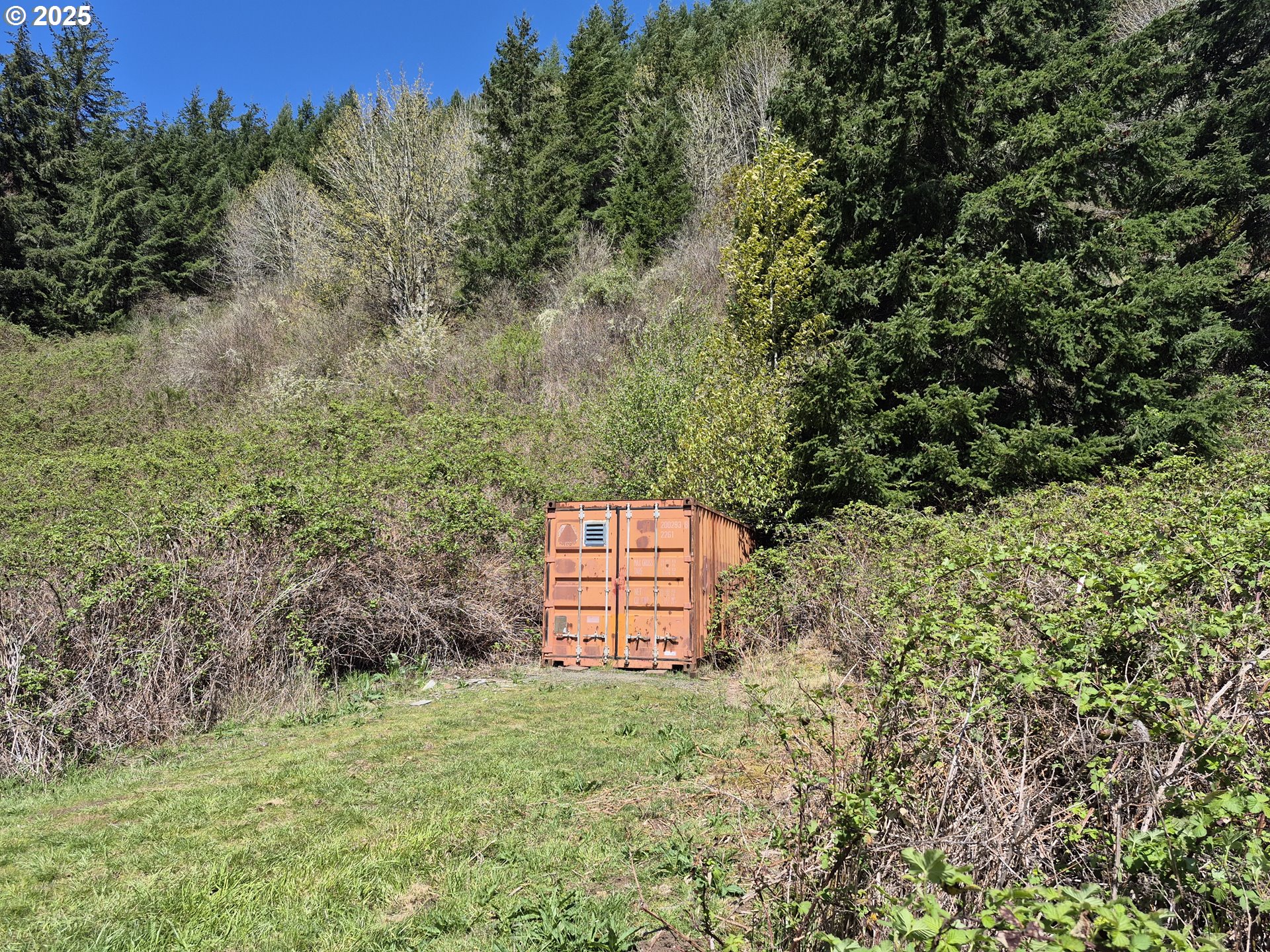 38305 Lower Brice Creek Road Dorena, OR 97434 - Photo 27 of 40 a view of a yard