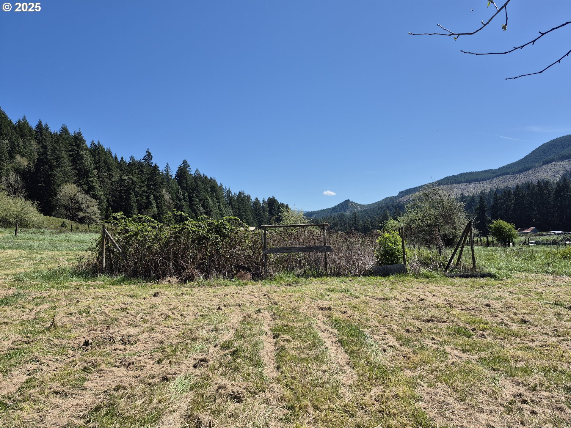38305 Lower Brice Creek Road Dorena, OR 97434 - Photo 28 of 40 a view of a yard