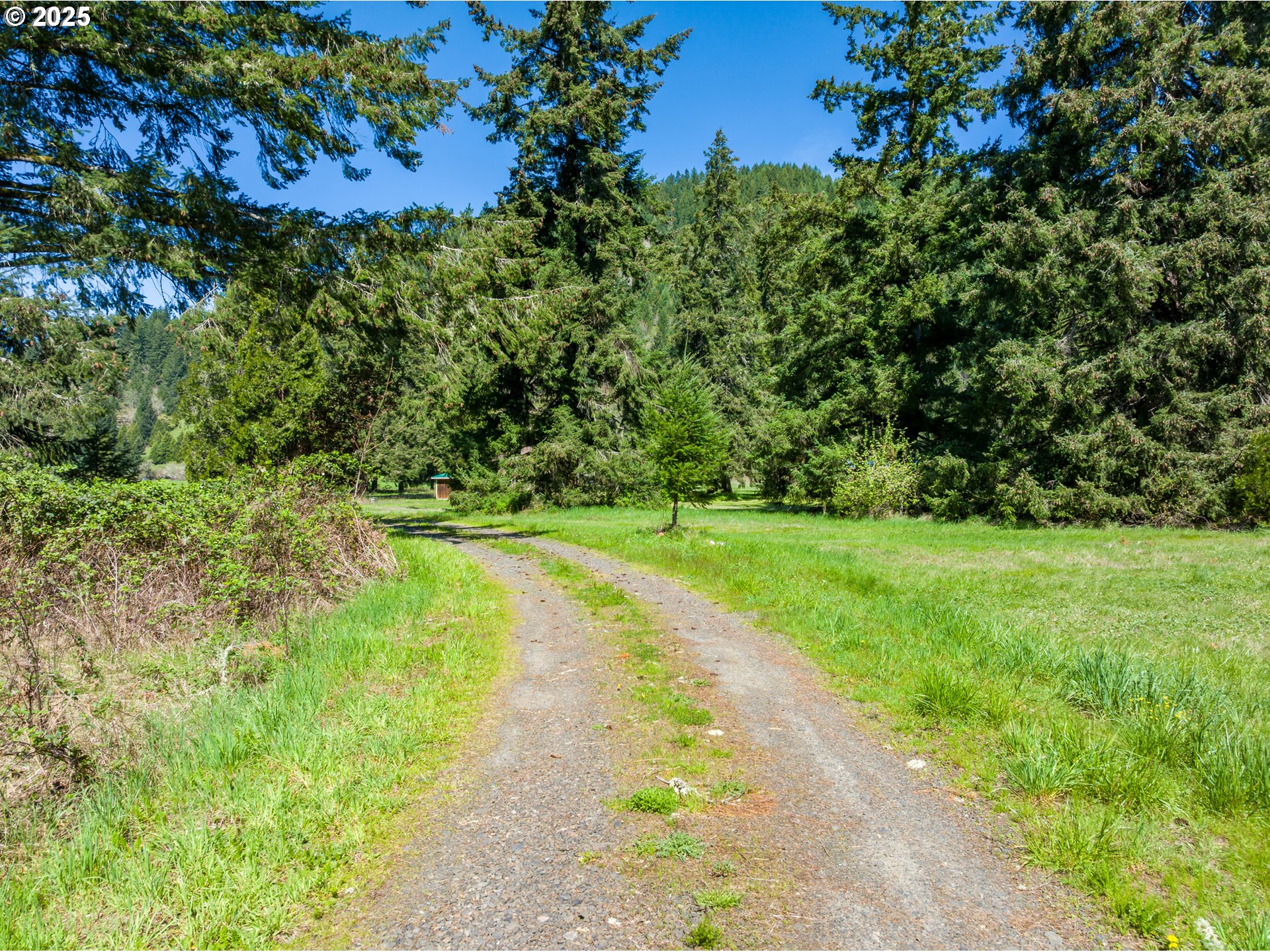 38305 Lower Brice Creek Road Dorena, OR 97434 - Photo 30 of 40 a view of an outdoor space with a lake view