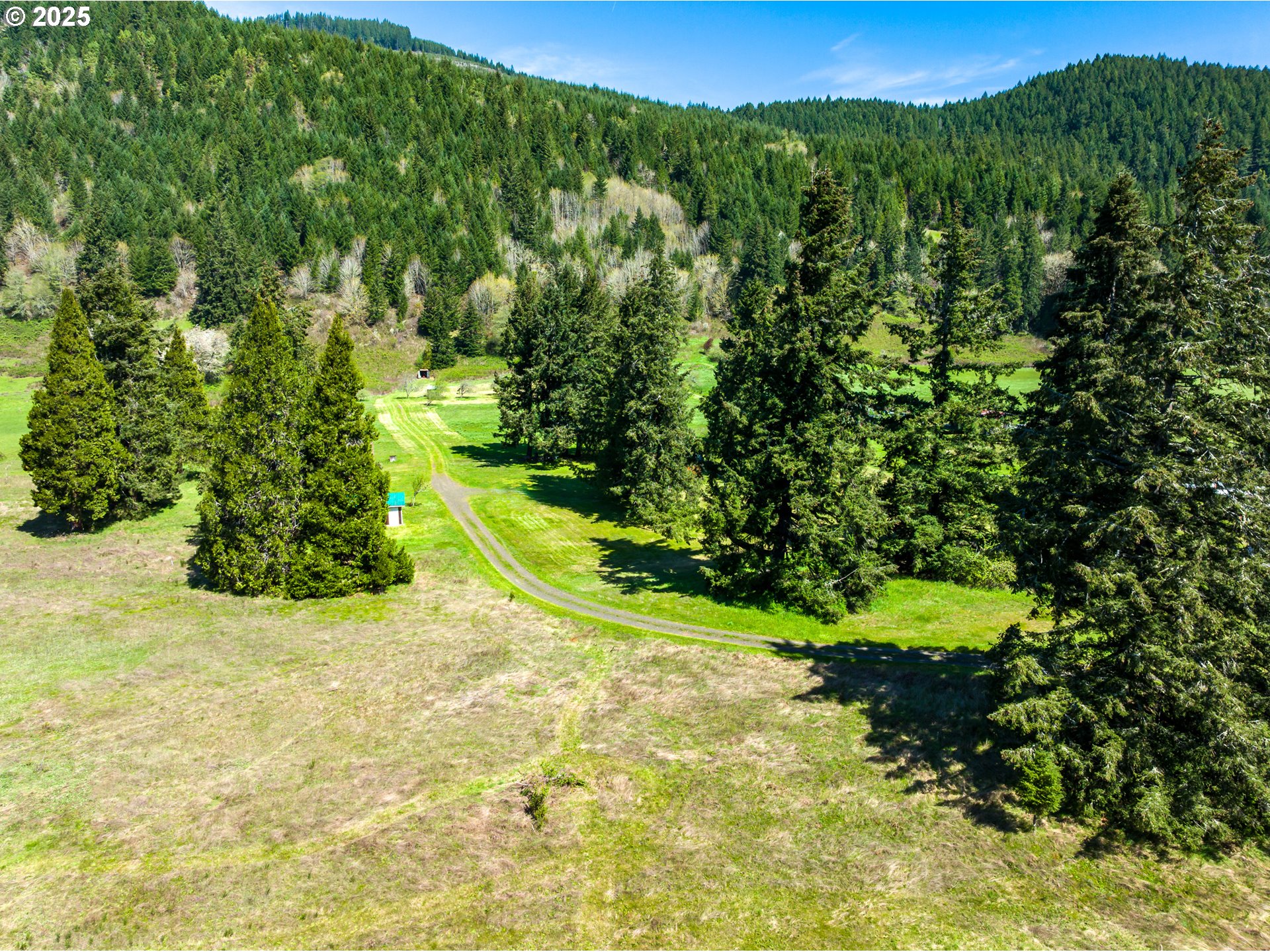 38305 Lower Brice Creek Road Dorena, OR 97434 - Photo 31 of 40 a view of a garden with a building