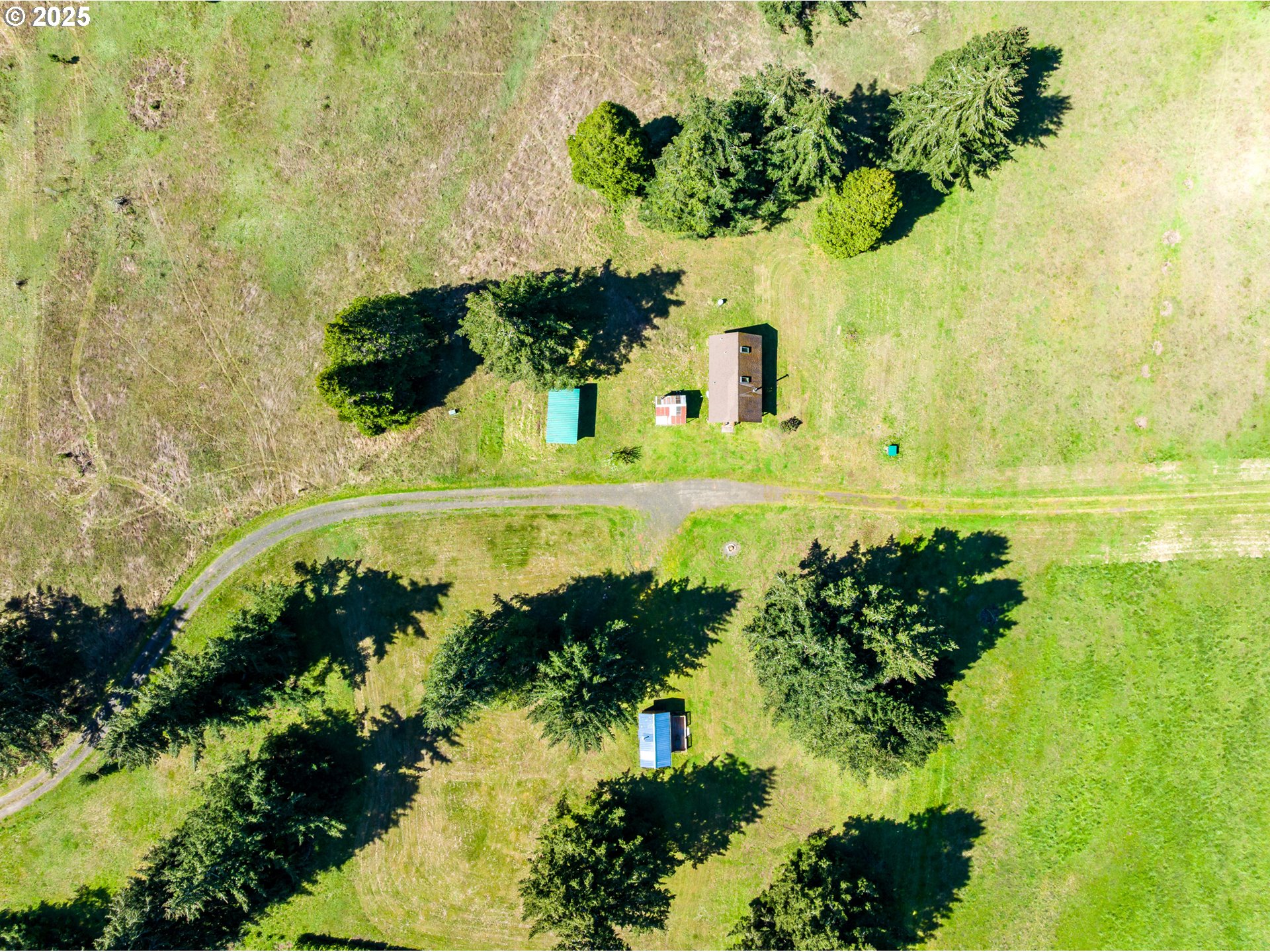 38305 Lower Brice Creek Road Dorena, OR 97434 - Photo 33 of 40 a view of a garden with an ocean