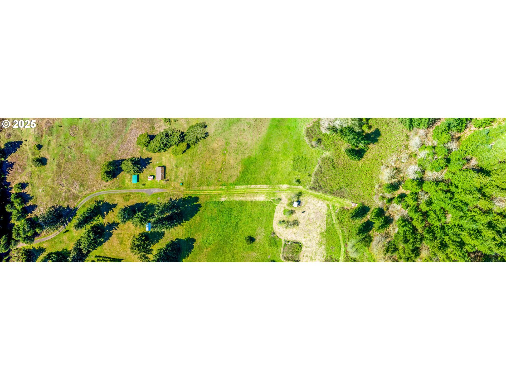 38305 Lower Brice Creek Road Dorena, OR 97434 - Photo 34 of 40 a view of a big yard with potted plants