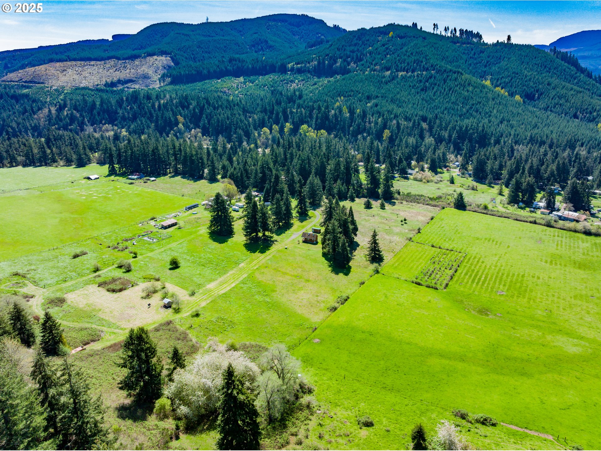 38305 Lower Brice Creek Road Dorena, OR 97434 - Photo 37 of 40 a view of an outdoor space and a yard