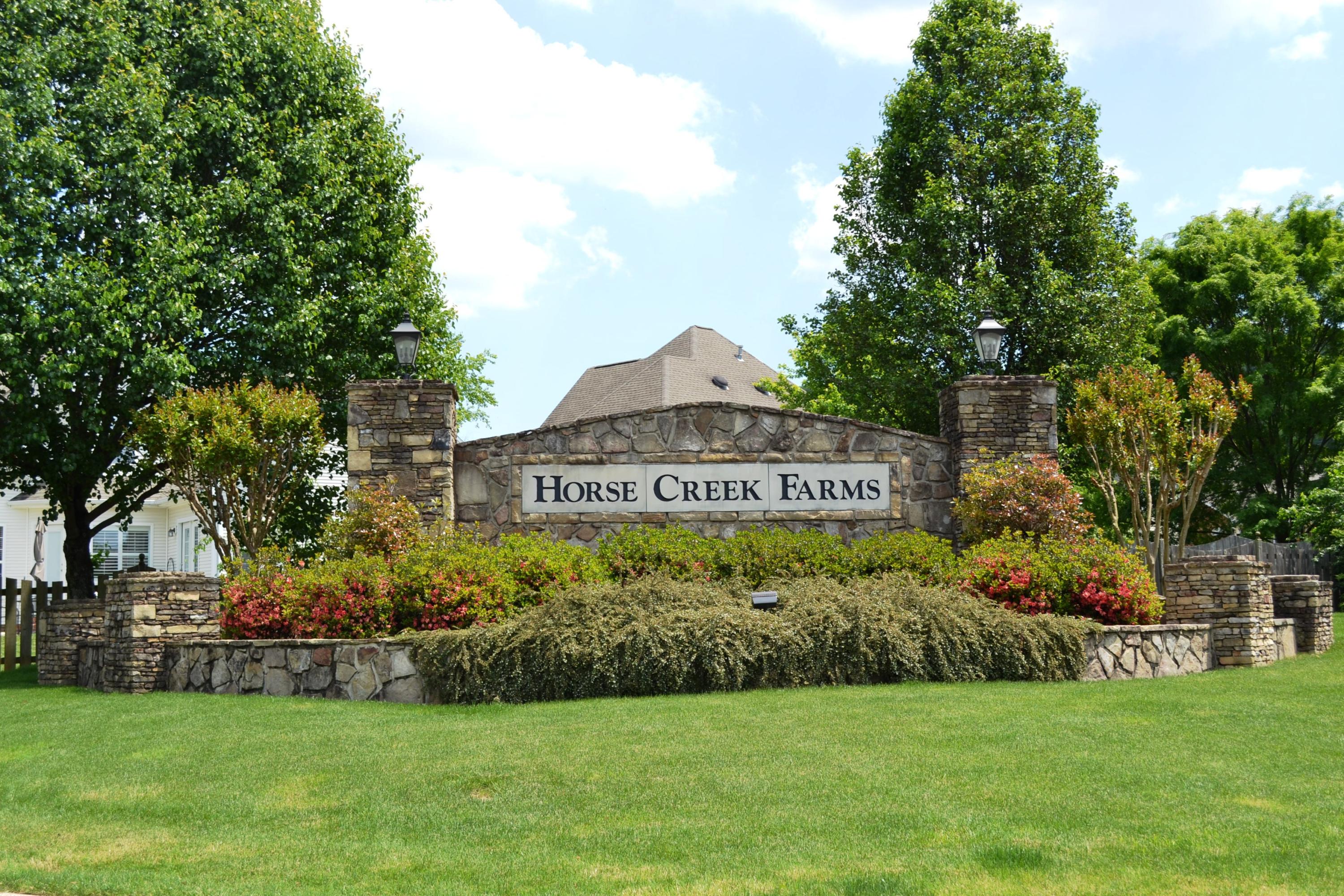 509 Riding Trail Way Chattanooga, TN 37405 - Photo 34 of 35 DSC_0023
