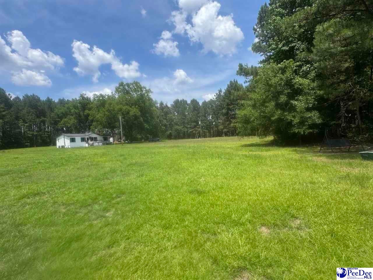 721 Ruth Road Coward, SC 29530 - Photo 8 of 11 Gallery Image 8