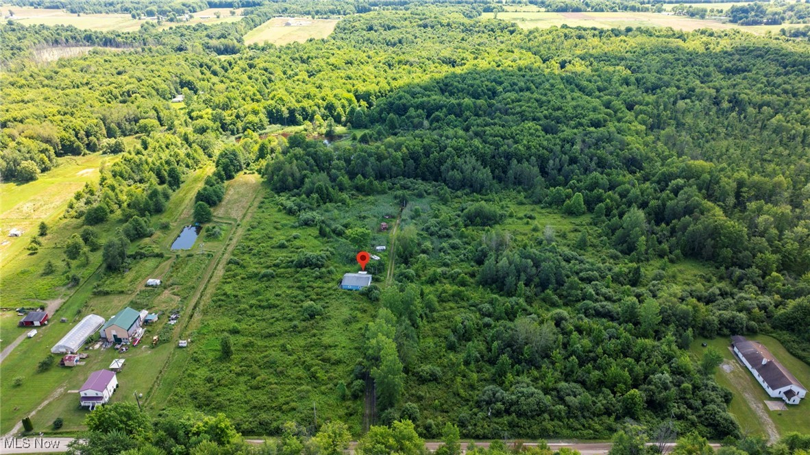 876 Clay Road Jefferson, OH 44047 - Photo 4 of 18 Aerial view of a heavily wooded area