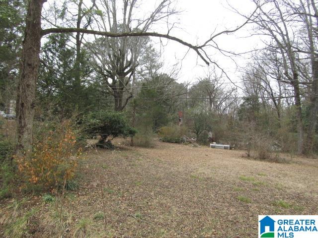 253 Old County Rd 109 Anniston, AL 36201 - Photo 4 of 10