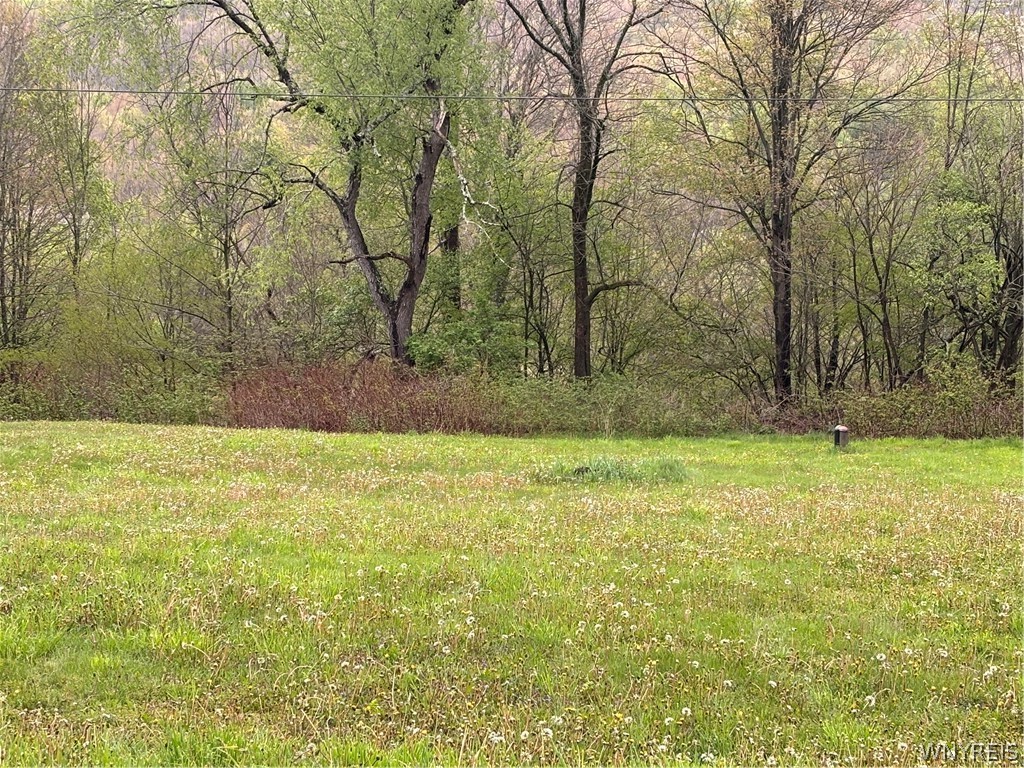 1780 Roses Brook Road Stamford, NY 13788 - Photo 10 of 10