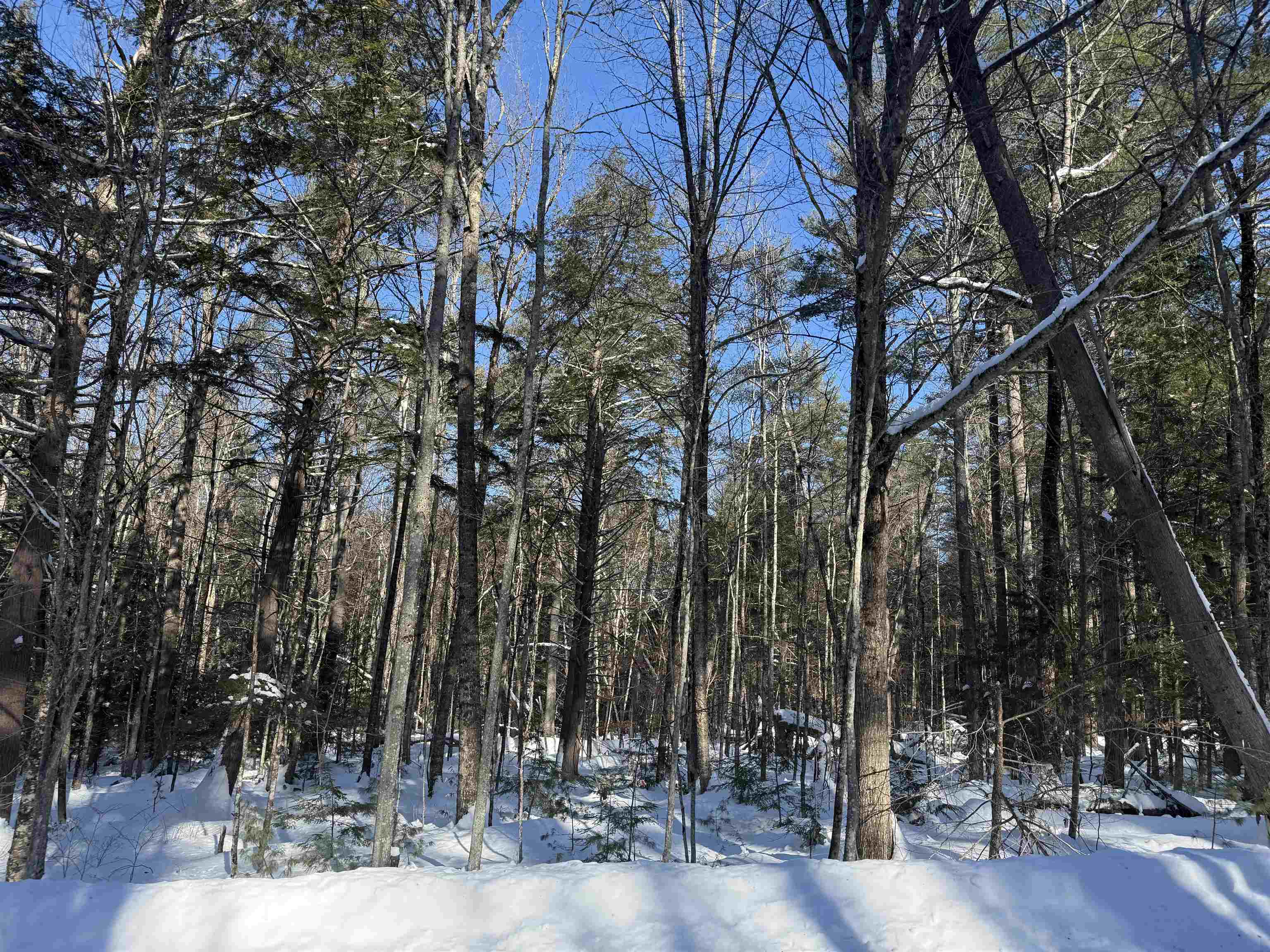 430 Jay Hill Road, Unit 430 Hartford, VT 05001 - Photo 2 of 2