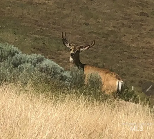 $1,299,999 | 2871 Hwy 12 Clarkston Wa 99403, Clarkston, WA 99403