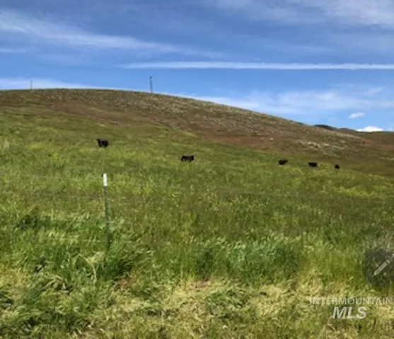 $1,299,999 | 2871 Hwy 12 Clarkston Wa 99403, Clarkston, WA 99403