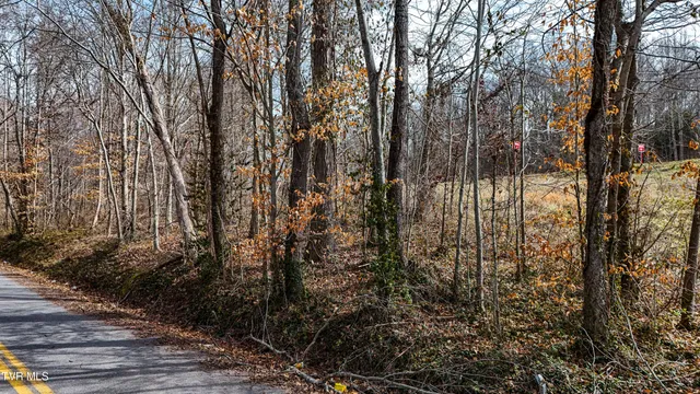 $59,000 | 0 Highway 11E, Unit 18, Limestone, TN 37681