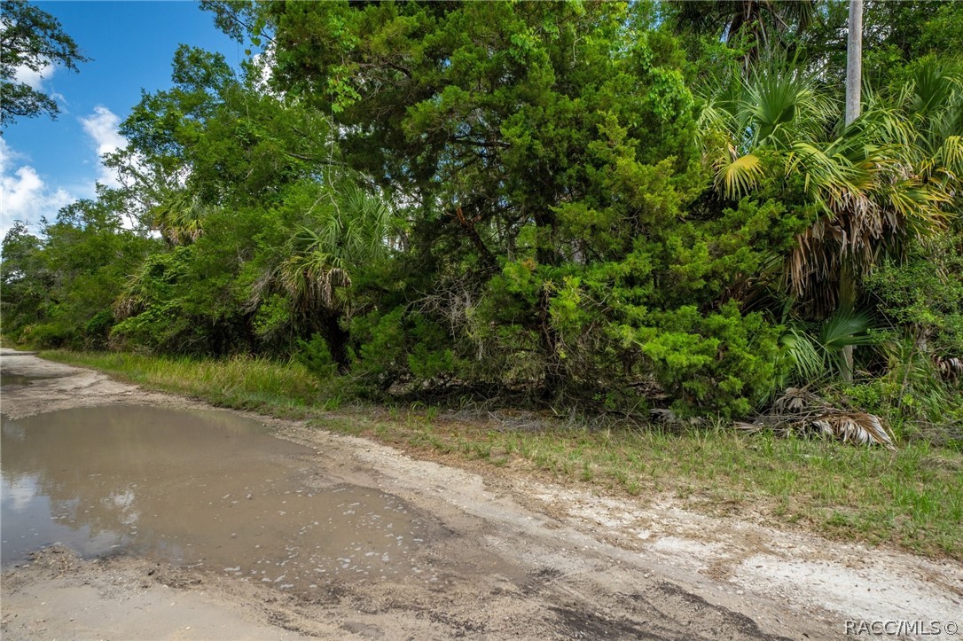 15085 West Rooster Crows Road Inglis, FL 34449 - Photo 14 of 16