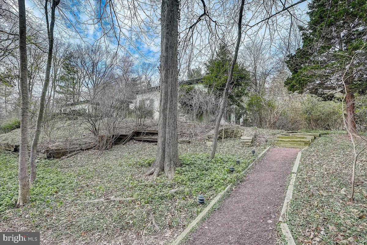 1480 Hampton Road Jenkintown, PA 19046 - Photo 30 of 36 Walking trails around lush grounds