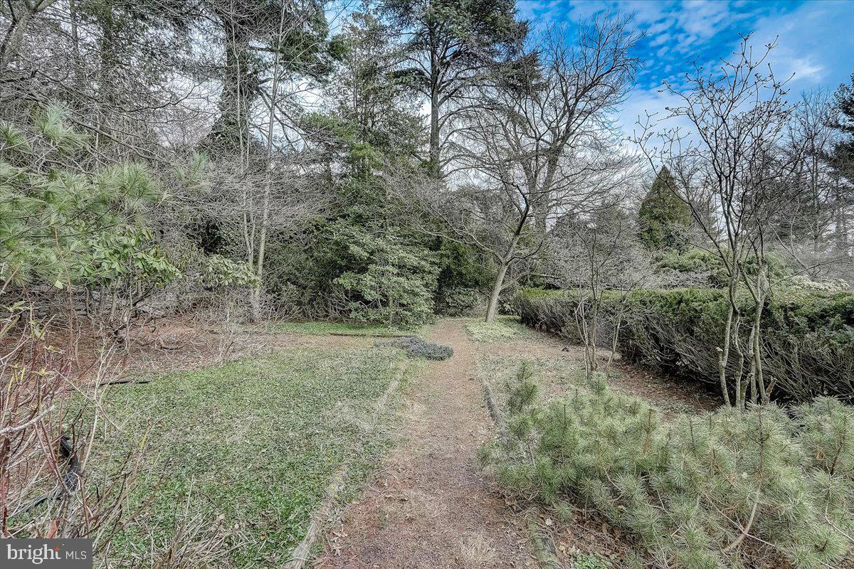 1480 Hampton Road Jenkintown, PA 19046 - Photo 32 of 36