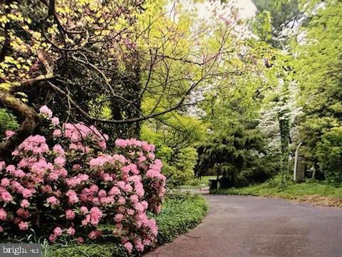 1480 Hampton Road Jenkintown, PA 19046 - Photo 36 of 36