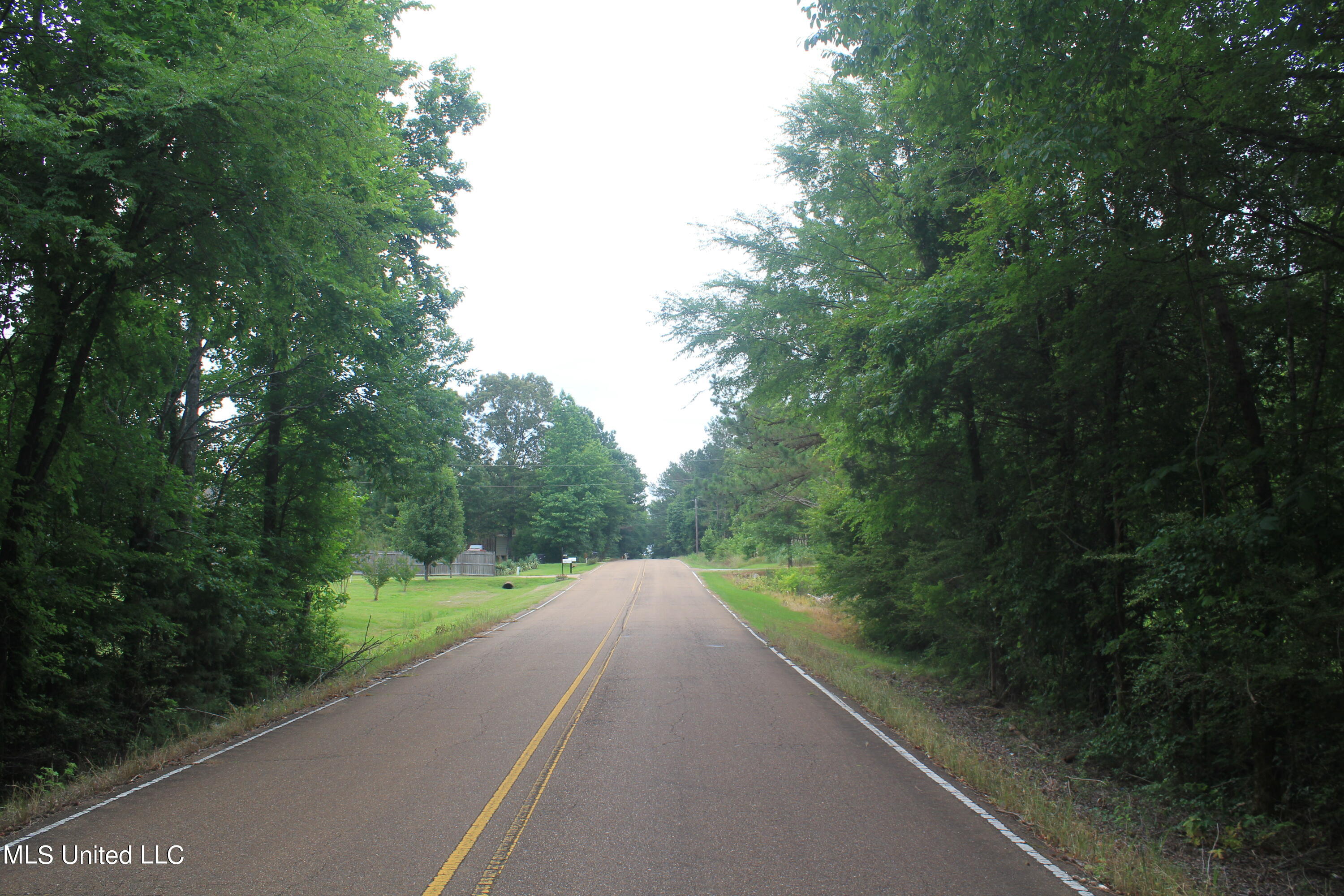 499 Graham Road Coldwater, MS 38618 - Photo 3 of 24 IMG_8554