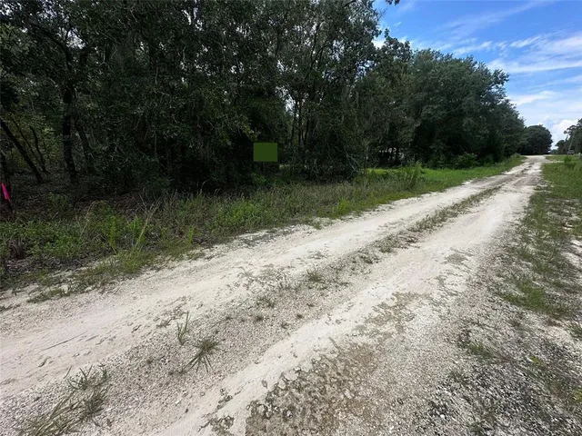 a view of a yard with a trees