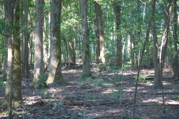 $1,200,600 | 483 Phillips 131 Road, Marvell, AR 72366