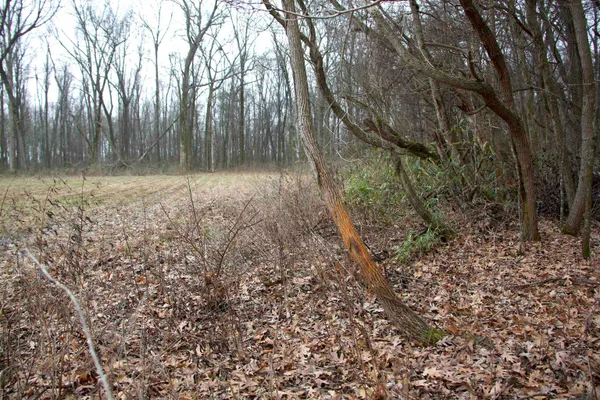 $1,200,600 | 483 Phillips 131 Road, Marvell, AR 72366
