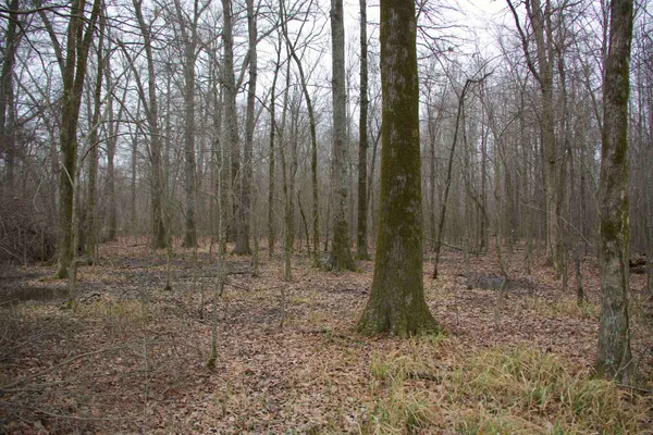 $1,200,600 | 483 Phillips 131 Road, Marvell, AR 72366