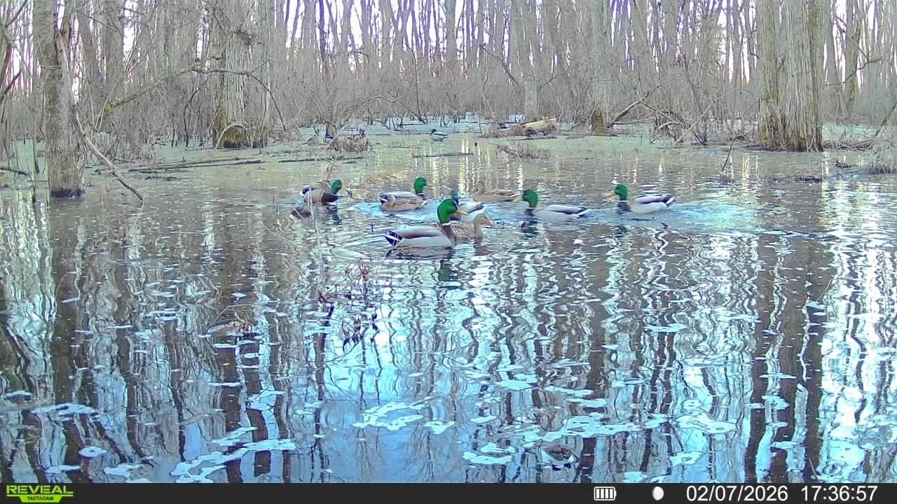 483 Phillips 131 Road Marvell, AR 72366 - Photo 7 of 36 a view of water with a building