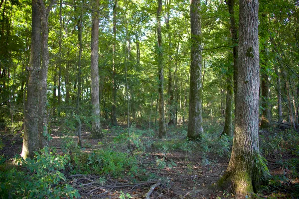 $1,200,600 | 483 Phillips 131 Road, Marvell, AR 72366