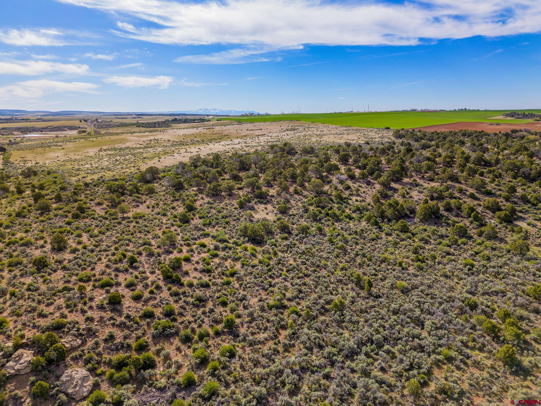 491 Pleasant View Pleasant View, CO 81331 - Photo 13 of 25