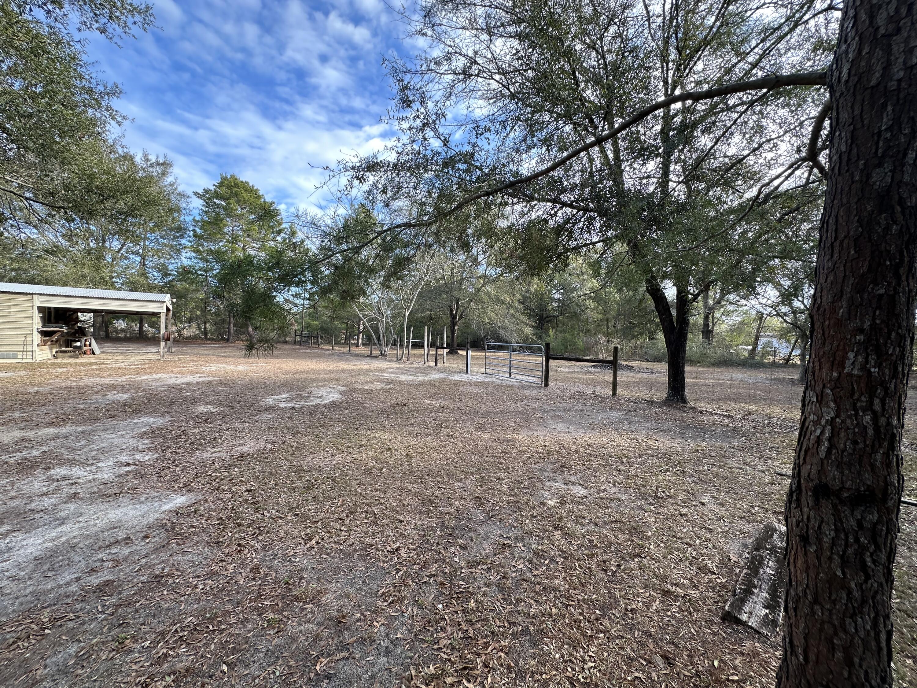 618 Oakridge Road DeFuniak Springs, FL 32433 - Photo 6 of 46 a view of outdoor space with trees